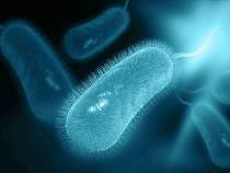 江蘇發(fā)布“幽門(mén)螺桿菌感染與耐藥地圖”