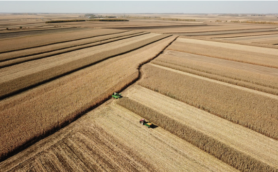二十連豐！中國產(chǎn)糧第一大省黑龍江秋收告捷