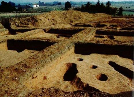 駱駝墩遺址：填補太湖西部7000年前考古學文化空白