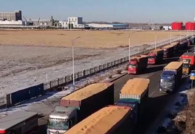 大國糧倉底氣足！黑龍江實(shí)現(xiàn)“二十連豐” 累計(jì)收購新糧489.4億斤