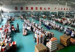 露酒成為繼白酒、啤酒之后中國第三大酒種