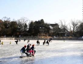 多所高校官宣開放校園 大學(xué)冰場(chǎng)假期迎來(lái)市民打卡