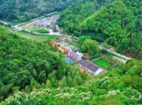 名單公布！廣東新增15個(gè)林長(zhǎng)綠美園