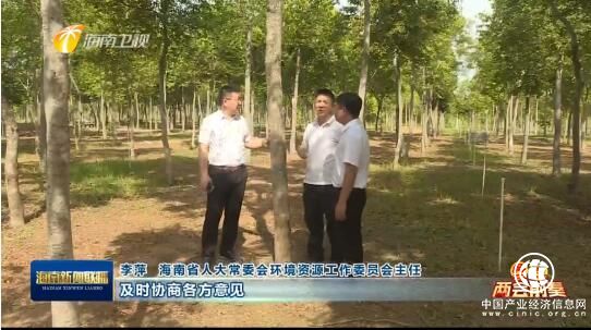 海南省人大代表王永濤“黃花梨一樹一證提案”列入省人大重點(diǎn)督辦