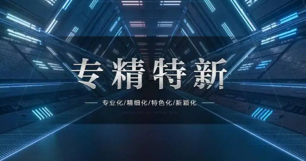 截至去年底，上海已累計培育專精特新企業(yè)超1萬家