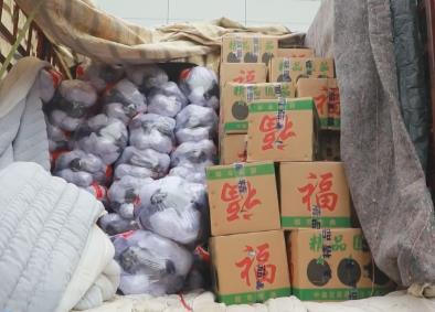 各地齊發(fā)力確?！安嘶@子”貨足價穩(wěn) 能源企業(yè)“開足馬力”保障用能需求