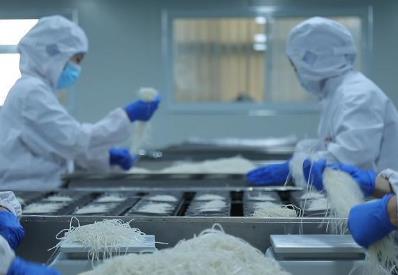 河南通許：十大實(shí)績(jī)繪就“中國酸辣粉之都”新章程