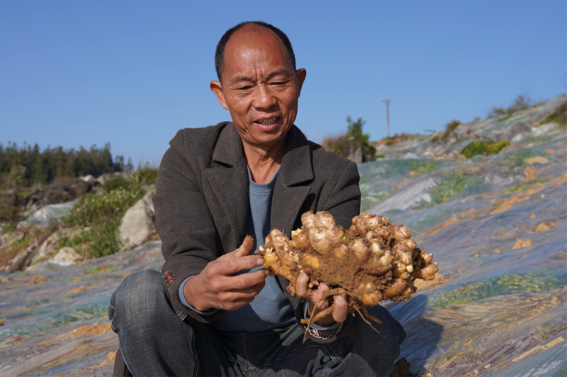 春風“拂”振興  鄉(xiāng)村“亮”新貌