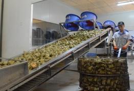 改變傳統(tǒng)糕點固有印象，節(jié)令糕點市場潛力巨大 