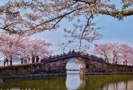 清明假期將至，“花”“茶”“食”唱響文旅消費(fèi)前奏