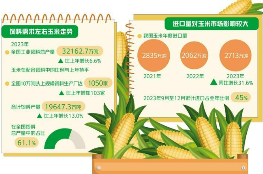 今年玉米市場走勢如何