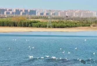 景區(qū)免門票、研學(xué)游火爆、旅游列開通……內(nèi)蒙古文旅再加猛料催熱“春日經(jīng)濟(jì)”