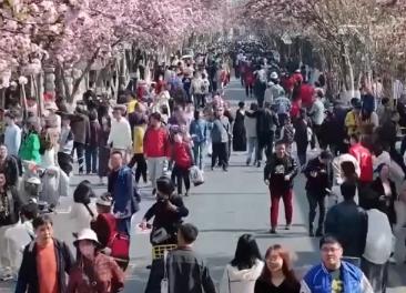 “吃喝玩樂”等生活服務(wù)業(yè)消費“火熱” 中國經(jīng)濟(jì)內(nèi)需潛力“熱力”釋放