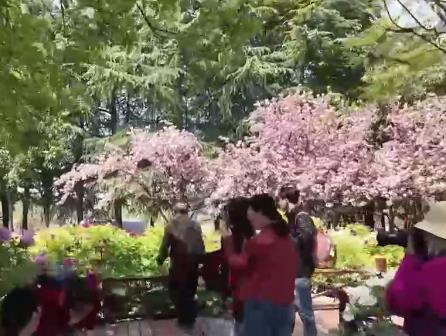 跟著“繁花”去旅行！“春日經(jīng)濟(jì)”激活大眾消費熱情