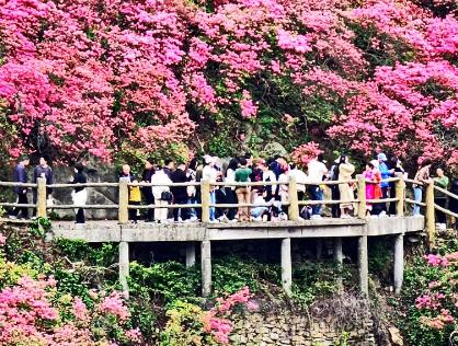 春季文旅全面開“花”！消費市場釋放蓬勃活力