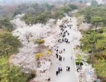 體旅融合新升級、徒步游升溫、觀影活動多 這個“五一”假期火熱來襲