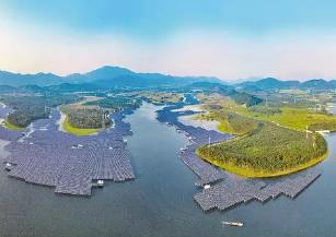 廣東首家省屬國(guó)有節(jié)能降碳公司成立