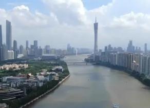 廣東發(fā)展如何進(jìn)階？“老枝+新芽”凝聚向“新”