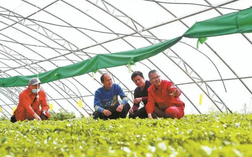 中國石油助力新疆繪就宜居宜業(yè)和美鄉(xiāng)村新畫卷