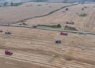 以密固沙、以糧改沙 組合拳實現(xiàn)“噸糧田”