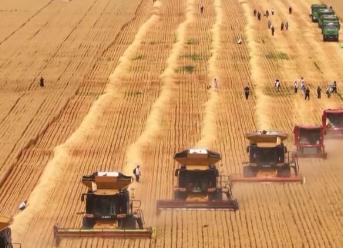 加裝“北斗”、改造智能糧庫……科技手段讓“三夏”生產(chǎn)更智慧、更高效