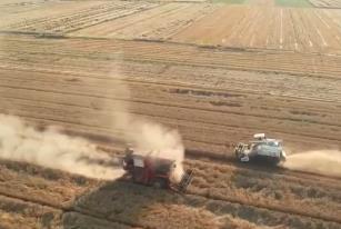 大中型灌區(qū)全力調(diào)水抗旱?！叭摹?夯實秋糧豐收基礎(chǔ)