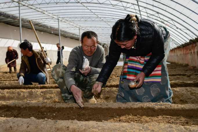 西藏新修訂的農(nóng)牧民享受財政補助優(yōu)惠政策明白卡將發(fā)布