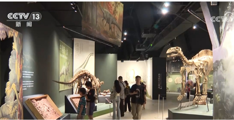 賞文物、看標本、學知識……暑期游“文化味”濃郁撬動消費新場景