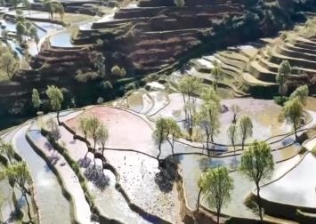 農(nóng)業(yè)文化遺產(chǎn)“活”起來 開辟促進(jìn)共富、帶動發(fā)展新路徑