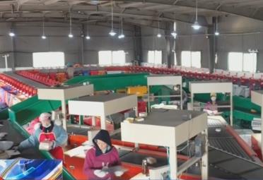 開展新業(yè)務(wù)、布局優(yōu)質(zhì)資產(chǎn) 外資加碼投資中國市場