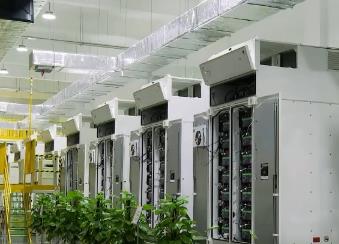 我國(guó)消費(fèi)市場(chǎng)空間持續(xù)擴(kuò)大 進(jìn)口來(lái)源地覆蓋廣、品類豐富