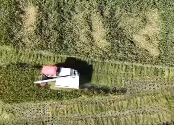 農(nóng)業(yè)興、農(nóng)村美、農(nóng)民富 金秋時節(jié)田間地頭處處好“豐”景