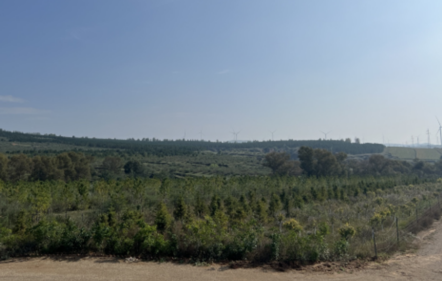 國家能源集團多措并舉精準(zhǔn)幫扶 繪就右玉鄉(xiāng)村振興新畫卷