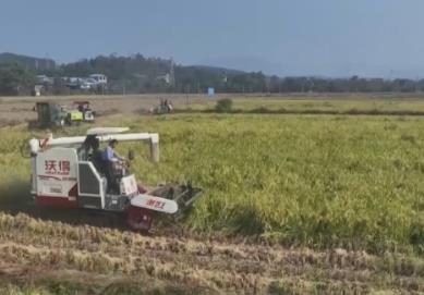 魚滿塘、糧滿倉、播種忙 希望的田野“豐”景不斷 映照農(nóng)民紅火好日子