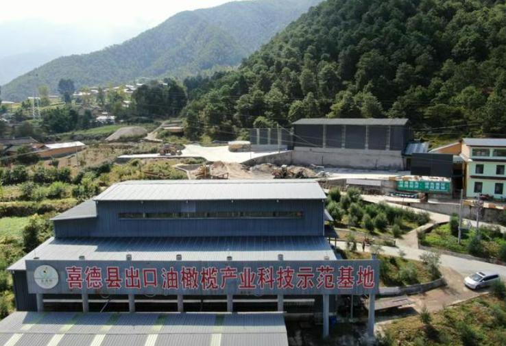 40余萬各族群眾受益 四川利用“兩項資金”推動民族地區(qū)產(chǎn)業(yè)發(fā)展