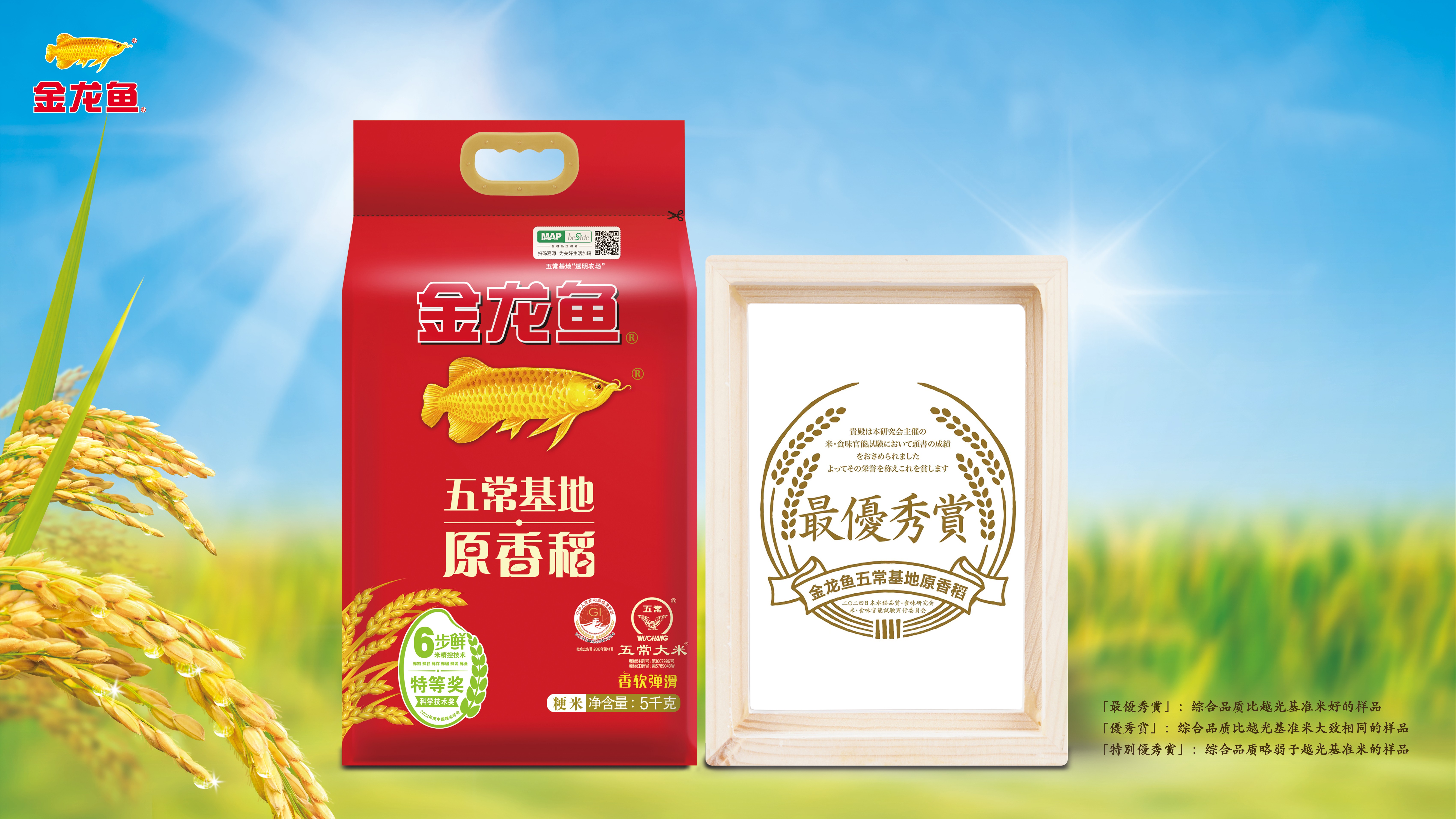 中國(guó)五常超越日本越光，金龍魚(yú)五常基地原香稻在日獲最優(yōu)秀獎(jiǎng)