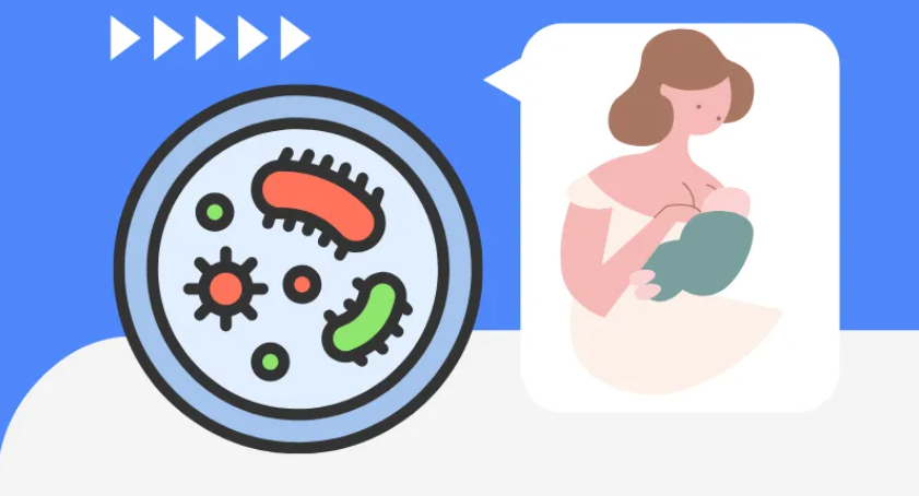 解碼中國(guó)益生菌市場(chǎng)，與賽哺高一同探尋未來(lái)的X創(chuàng)新方案