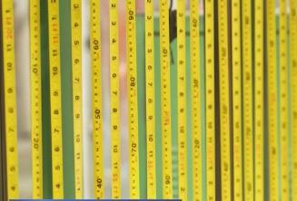 從“草根經(jīng)濟(jì)”走向“樹(shù)根經(jīng)濟(jì)”，小卷尺“丈量”大世界