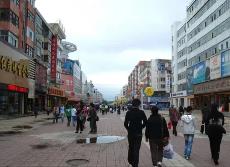 黑龍江省順利完成首次鄉(xiāng)鎮(zhèn)街道賦權(quán)評估工作