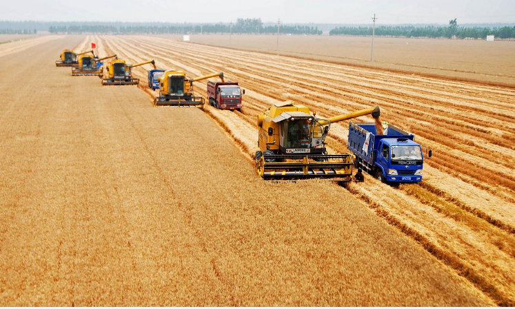 農發(fā)種業(yè)：科技創(chuàng)新助力種業(yè)振興