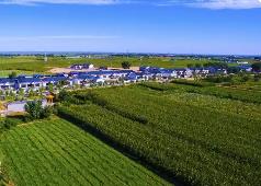 內蒙古4年安排銜接資金484.5億元助力鄉(xiāng)村振興