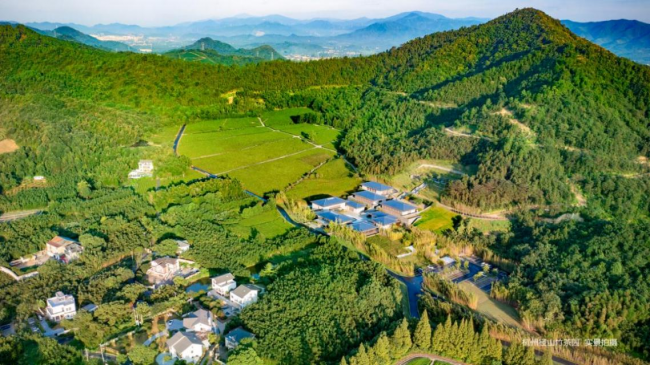 墓隱于茶、墓隱于林，杭州這家紀(jì)念園的生態(tài)安葬方式很獨(dú)特