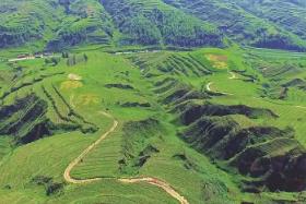 山西綠色生態(tài)空間持續(xù)擴(kuò)大，全年?duì)I造林319萬畝