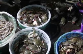 新年嘗“鮮” 2025年第一波海鮮上市豐富消費(fèi)市場