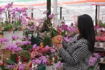 年夜飯外賣 飄香棗糕 外焦里嫩干煸魚 多地開啟“春節(jié)檔”