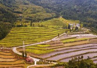 四川首單水土保持碳匯交易達(dá)成