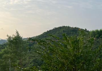 《廣東省林長(zhǎng)制條例》于1月1日起正式施行