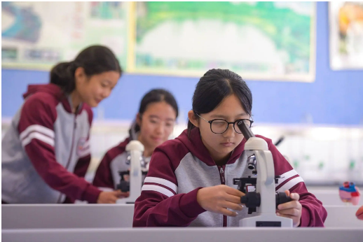 北京：中小學(xué)科學(xué)教育“二十條”出臺(tái) 十七個(gè)部門(mén)合力實(shí)施六大行動(dòng)