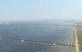 鹽堿地變身清潔能源新綠洲 我國(guó)最大灘涂光儲(chǔ)電站投產(chǎn)發(fā)電