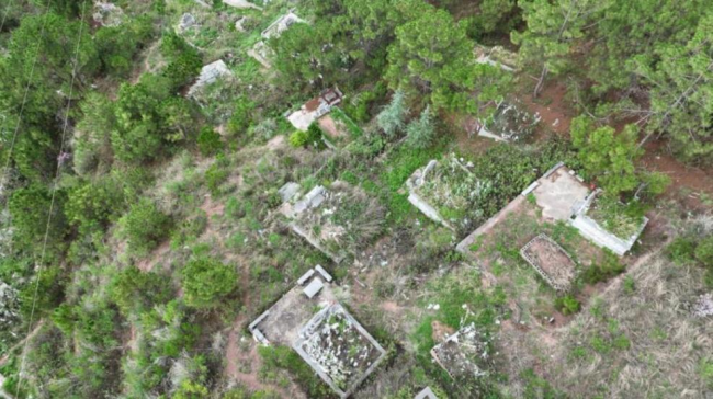 澄江記憶·綠色重生：公益墓區(qū)的生態(tài)蛻變